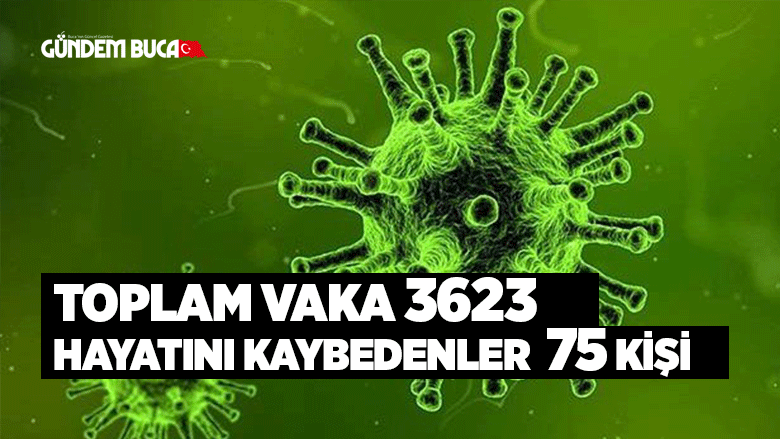TOPLAM VAKA 3623 HAYATINI KAYBEDENLER  75 KİŞİ