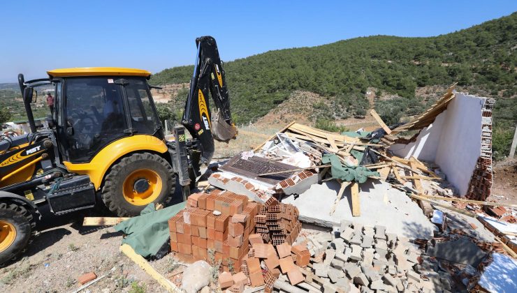 Buca Ormanlarında Fırsatçılar 40 dönümü yok etti