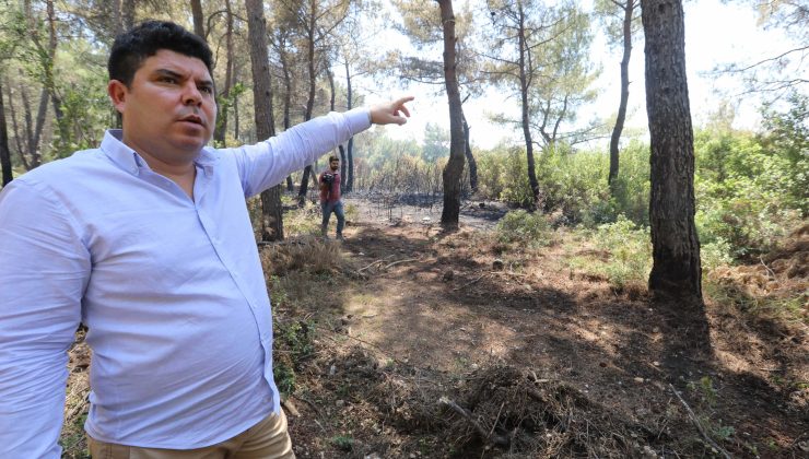 Buca Halkından “Orman” Sahiplenmesi