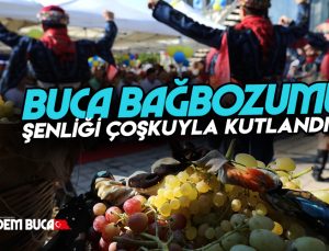 BAĞ BOZUMU ŞENLİĞİ  ÇOŞKUYLA KUTLANDI