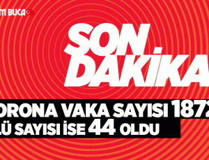 Türkiye’de koronavirüsten ölenlerin sayısı 44’e, vaka sayısı 1872’ye yükseldi