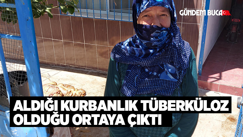 Buca da kesilen büyükbaş hayvanda tüberküloz