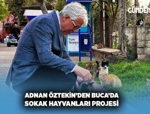 AK Partili Adnan Öztekin ‘den Buca’da Sokak Hayvanları Projesi