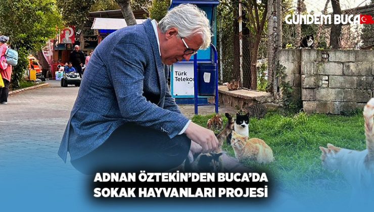 AK Partili Adnan Öztekin ‘den Buca’da Sokak Hayvanları Projesi