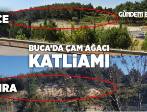 Buca Yıldız Mahallesinde Ağaç Katliamı