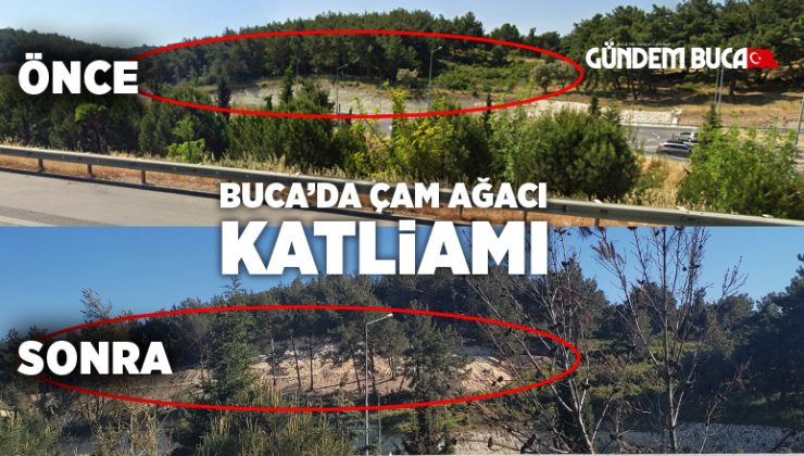 Buca Yıldız Mahallesinde Ağaç Katliamı