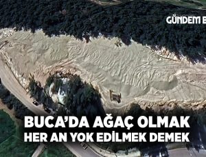 Buca ‘da Ağaç Olmak, Her An Yok Edilmek Demek