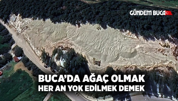 Buca ‘da Ağaç Olmak, Her An Yok Edilmek Demek