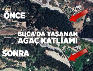 Buca’da Yaşanan Ağaç Katliamı
