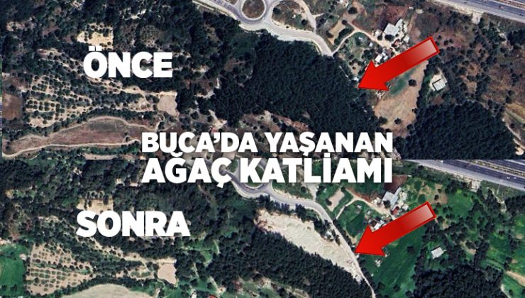 Buca’da Yaşanan Ağaç Katliamı