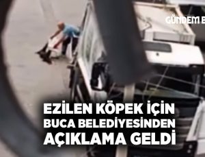 Ezilen köpek için buca belediyesinden açıklama geldi