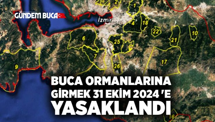 Buca Ormanlarına girmek 31 Ekim 2024 ‘e kadar yasaklandı