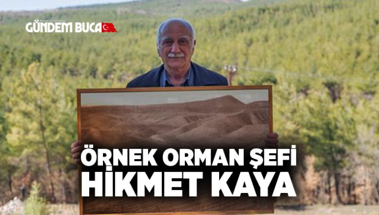 İşte Örnek Orman Şefi Böyle Olur Hikmet Kaya