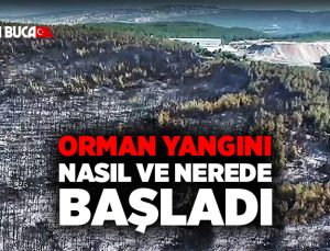 Buca Orman Yangını Nasıl ve Nerede Başladı ?