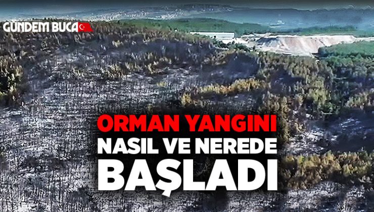 Buca Orman Yangını Nasıl ve Nerede Başladı ?