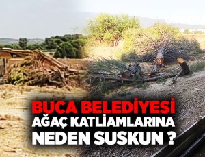 Buca Belediyesi Ağaç Katliamına Neden Suskun ?