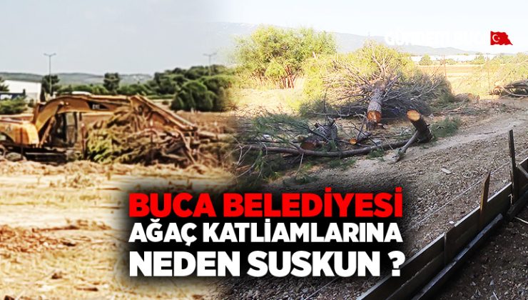 Buca Belediyesi Ağaç Katliamına Neden Suskun ?