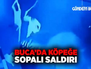Buca’da Köpeğe sopalı saldırı kamerada