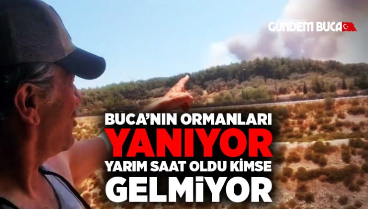 Buca’nın ormanları yanıyor yarım saat oldu kimse gelmiyor ?