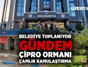 Buca Belediyesi Toplanıyor Gündem Çipro Ormanı, Çamlık Mahallesinde kamulaştırma,