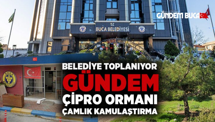 Buca Belediyesi Toplanıyor Gündem Çipro Ormanı, Çamlık Mahallesinde kamulaştırma,