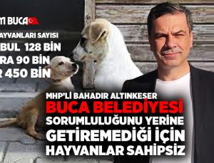 MHP ‘li Bahadır Altınkeser Buca Belediyesi sorumluluğunu yerine getiremediği için hayvanlar sahipsiz