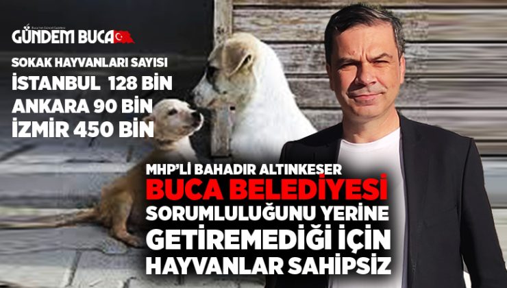 MHP ‘li Bahadır Altınkeser Buca Belediyesi sorumluluğunu yerine getiremediği için hayvanlar sahipsiz