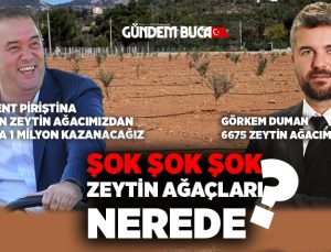 Soru Önergesi Skandalı ortaya çıkardı Zeytin Ağaçları Nerede ?
