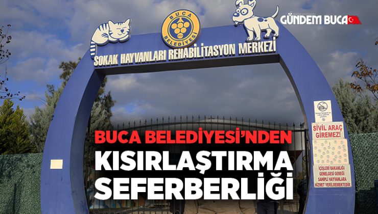 Buca Belediyesi’nden kısırlaştırma seferberliği