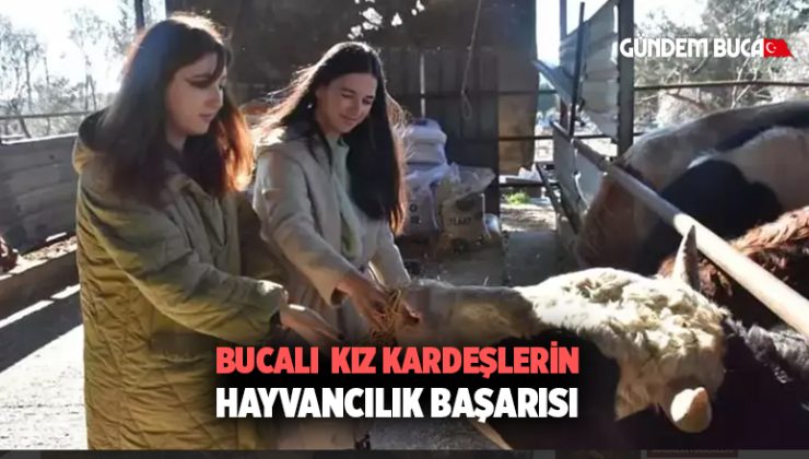 Üniversiteli kız kardeşler Buca’da hayvancılık yapıyor!