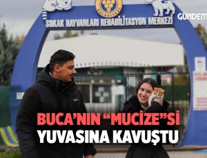 Buca ’nın “Mucize ”si yuvasına kavuştu