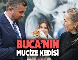 Buca’nın Mucize kedisi
