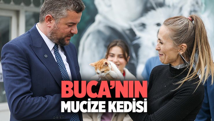Buca’nın Mucize kedisi