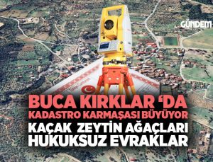 Buca Kırklar ‘da kadastro karmaşası büyüyor Kaçak zeytin Ağaçları Hukuksuz Evraklar