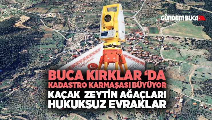 Buca Kırklar ‘da kadastro karmaşası büyüyor Kaçak zeytin Ağaçları Hukuksuz Evraklar