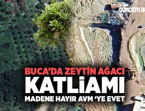 Buca ’da Zeytin Ağacı Katliamı, Madene hayır, AVM ‘ye EVET
