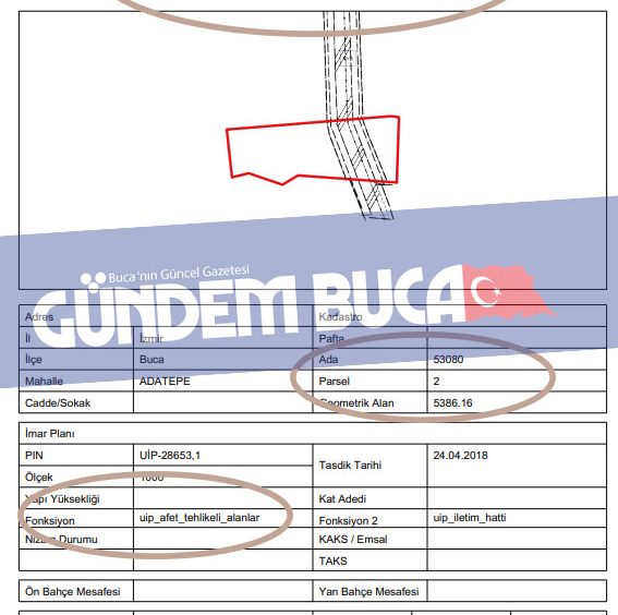 Vision Buca 242