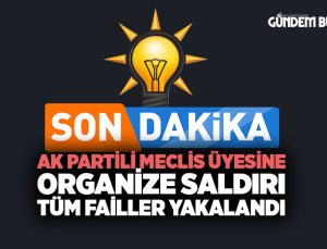 AK Parti İzmir Meclis Üyesine Organize Saldırı: Tüm Failler Yakalandı