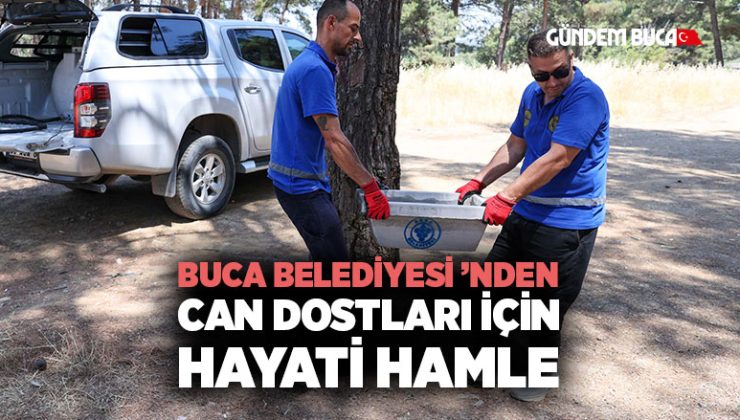 Buca Belediyesi ’nden can dostları için hayati hamle