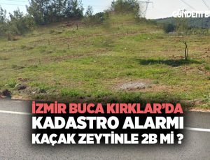 İzmir Buca Kırklar Mahallesinde ’da Kadastro Alarmı: Kaçak Zeytinle 2B mi ?