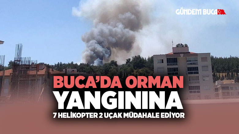 Buca Orman Yangını