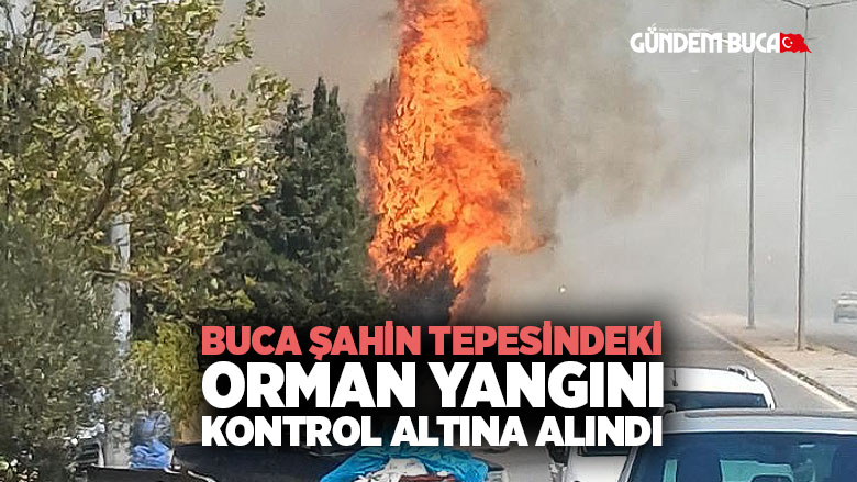 Buca Şahin Tepesi