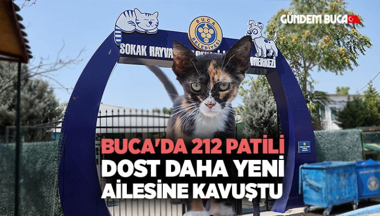 Buca ‘da 212 patili dost daha yeni ailesine kavuştu