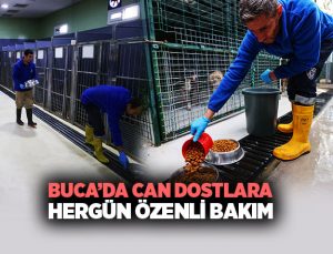 Buca ’da Can Dostlara Her gün Özenli Bakım