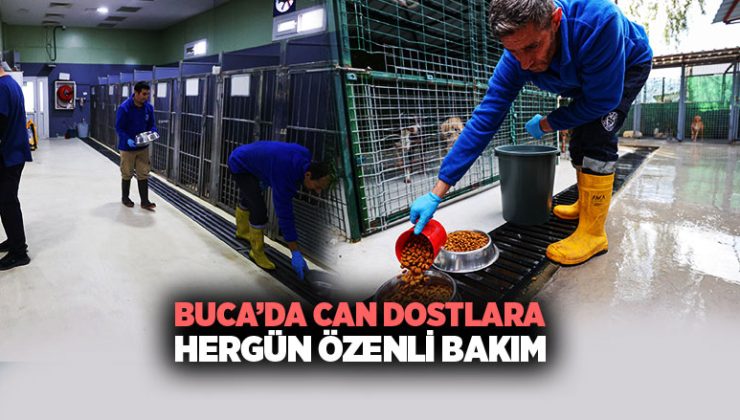 Buca ’da Can Dostlara Her gün Özenli Bakım