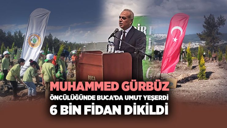 Muhammed Gürbüz öncülüğünde Buca ’da umut yeşerdi 6 bin fidan dikildi