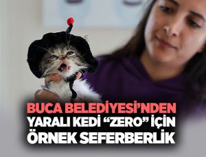 Buca Belediyesi’nden Yaralı Kedi “Zero” İçin Örnek Seferberlik