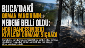 Buca Orman Yangını Hobi Bahçesi
