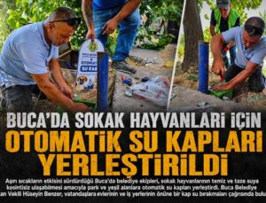 Buca ’da Sokak Hayvanları İçin Otomatik Su Kapları Yerleştirildi