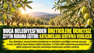 Zeytin Sertifikası